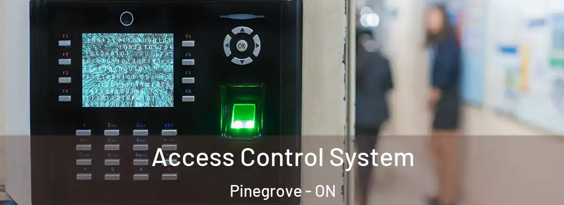  Access Control System Pinegrove - ON