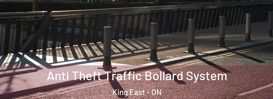  Anti Theft Traffic Bollard System King East - ON