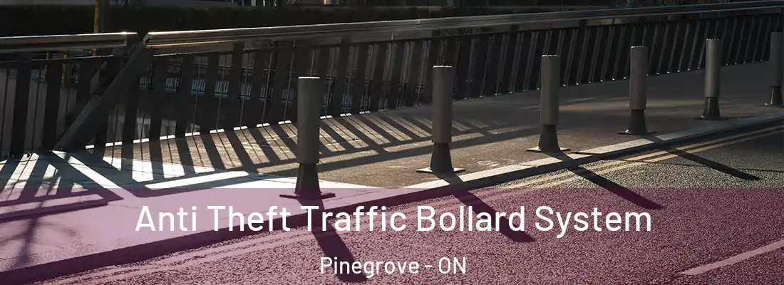  Anti Theft Traffic Bollard System Pinegrove - ON