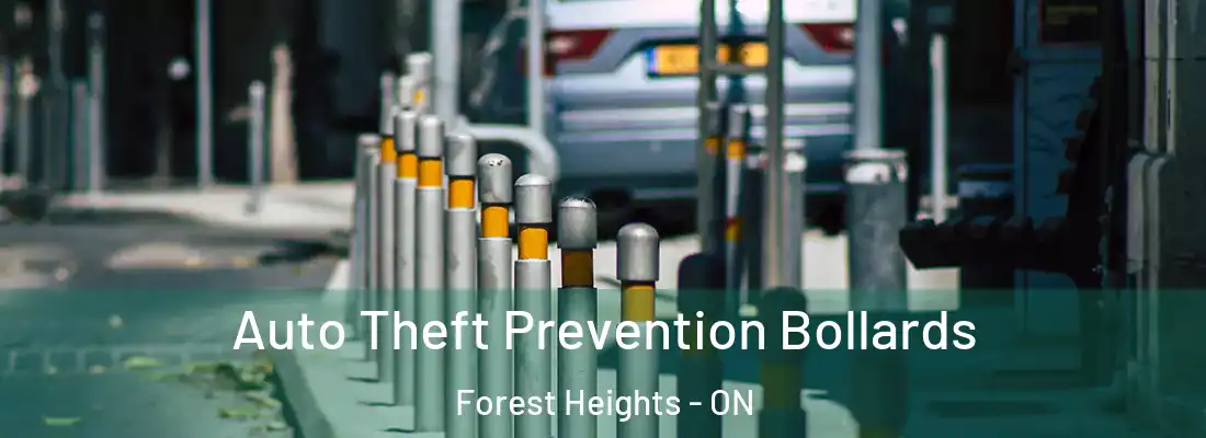  Auto Theft Prevention Bollards Forest Heights - ON