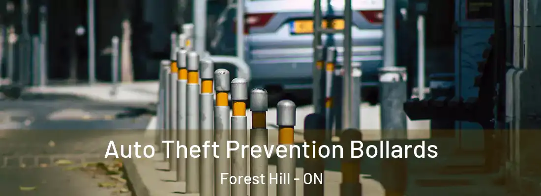  Auto Theft Prevention Bollards Forest Hill - ON