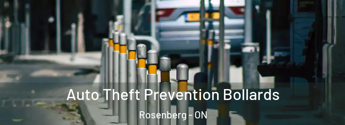  Auto Theft Prevention Bollards Rosenberg - ON