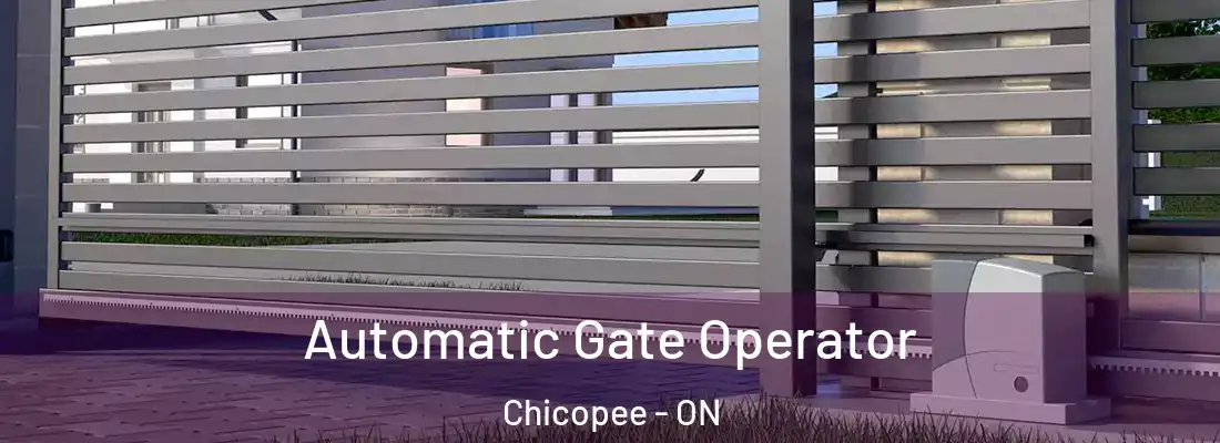  Automatic Gate Operator Chicopee - ON