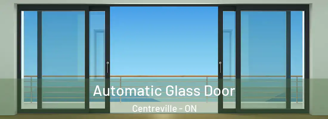 Automatic Glass Door Centreville - ON