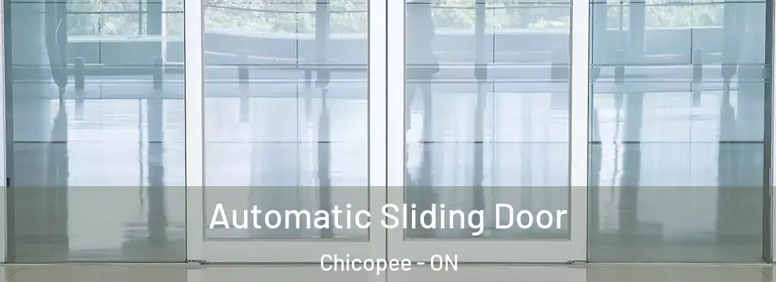  Automatic Sliding Door Chicopee - ON