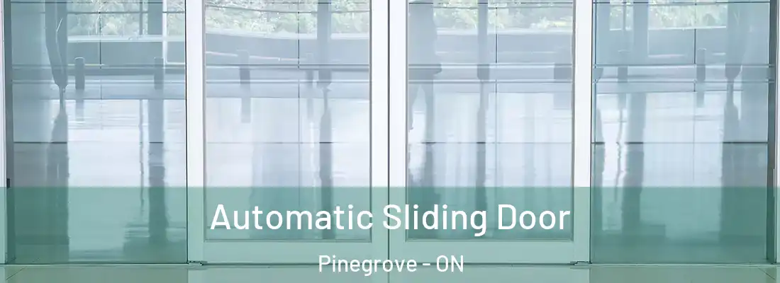  Automatic Sliding Door Pinegrove - ON