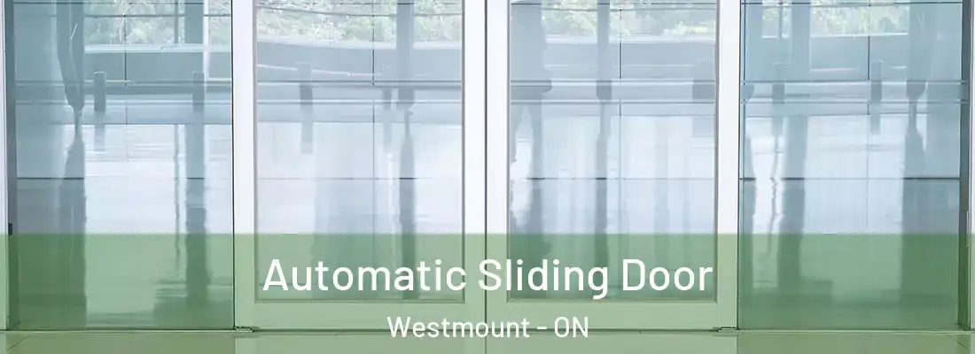  Automatic Sliding Door Westmount - ON