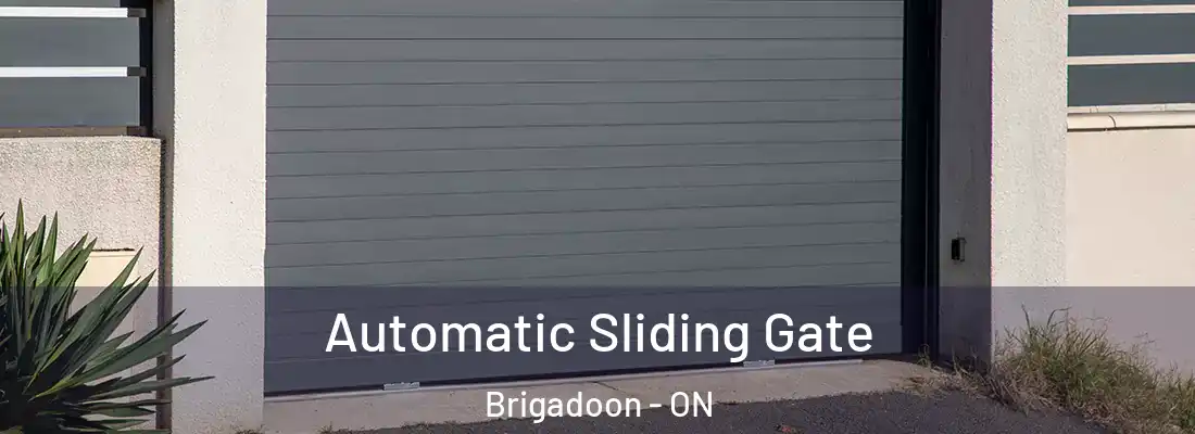  Automatic Sliding Gate Brigadoon - ON