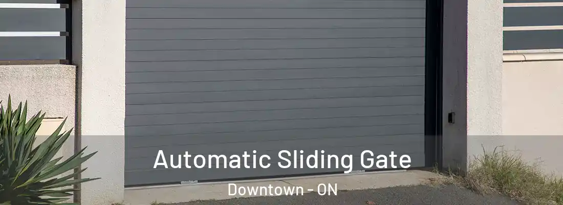  Automatic Sliding Gate Downtown - ON