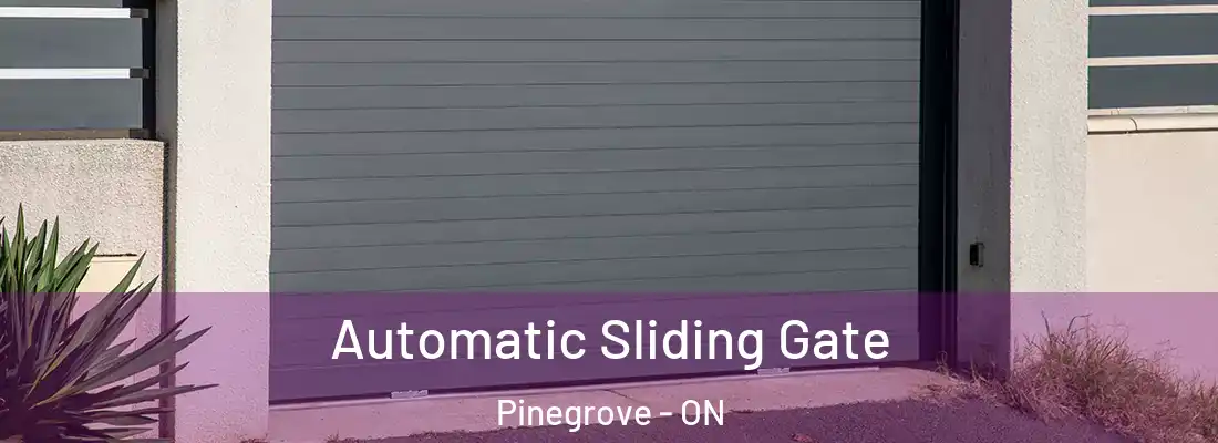  Automatic Sliding Gate Pinegrove - ON