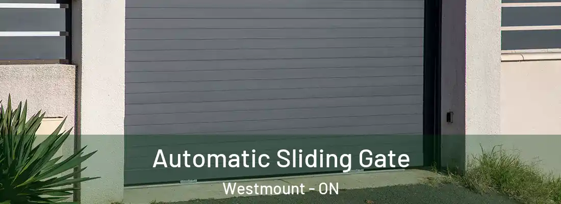  Automatic Sliding Gate Westmount - ON