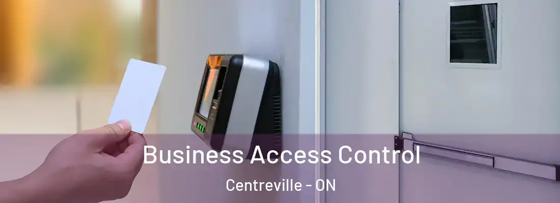  Business Access Control Centreville - ON