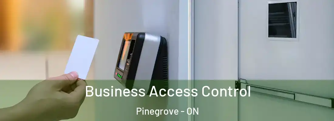  Business Access Control Pinegrove - ON