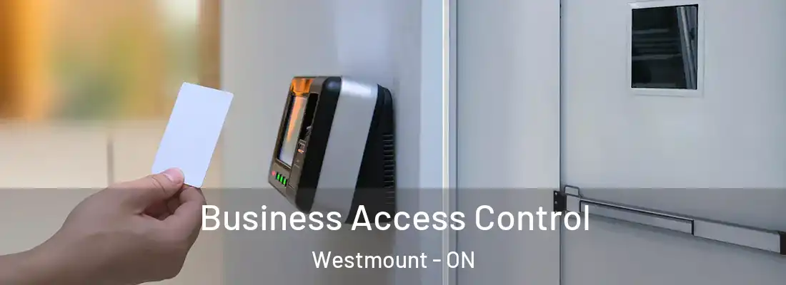  Business Access Control Westmount - ON