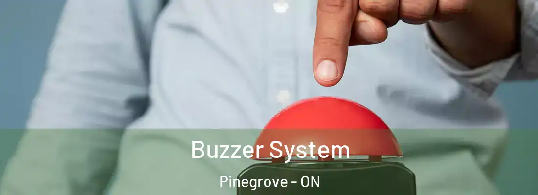  Buzzer System Pinegrove - ON