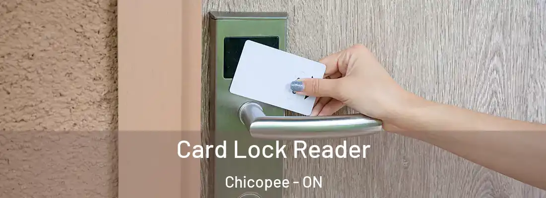  Card Lock Reader Chicopee - ON