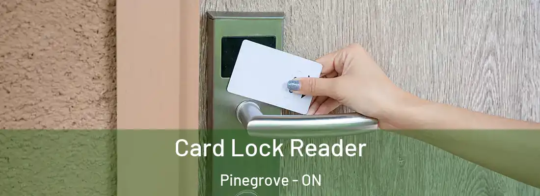  Card Lock Reader Pinegrove - ON