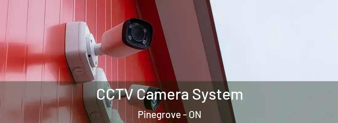 CCTV Camera System Pinegrove - ON