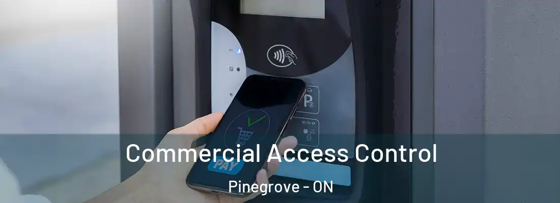  Commercial Access Control Pinegrove - ON