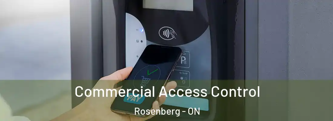  Commercial Access Control Rosenberg - ON