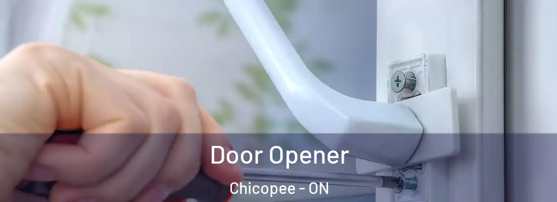  Door Opener Chicopee - ON