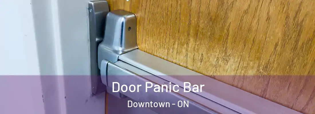  Door Panic Bar Downtown - ON