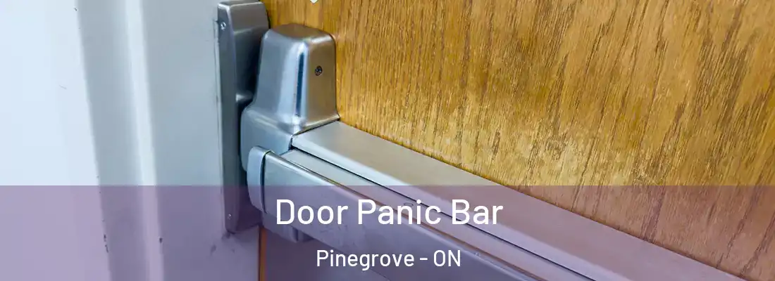  Door Panic Bar Pinegrove - ON