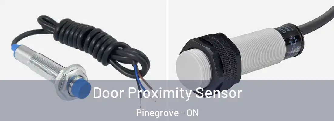  Door Proximity Sensor Pinegrove - ON