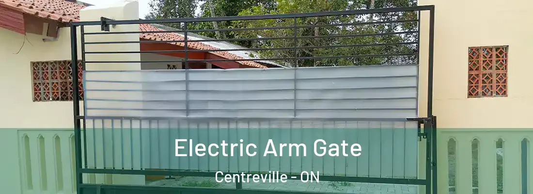  Electric Arm Gate Centreville - ON