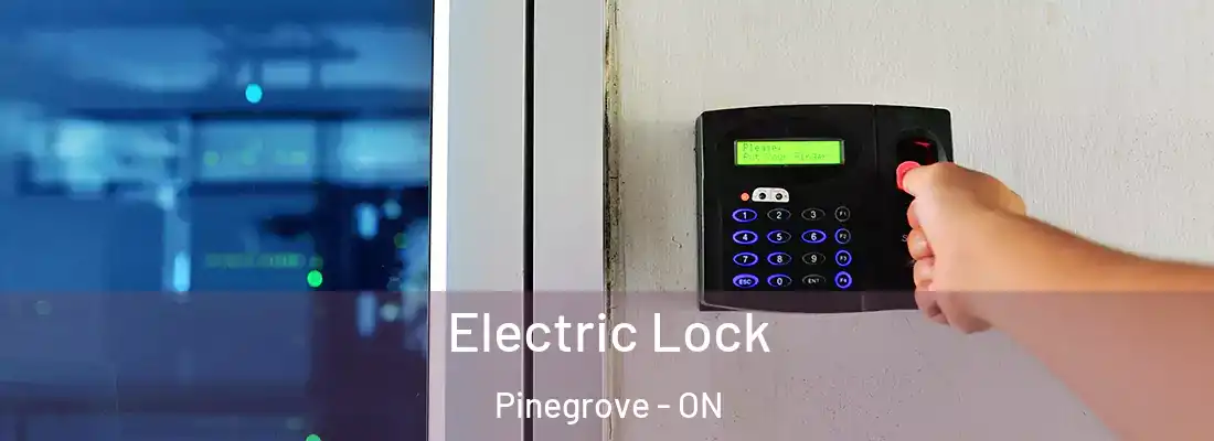  Electric Lock Pinegrove - ON
