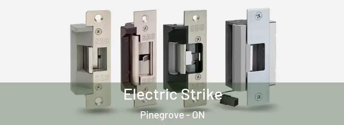  Electric Strike Pinegrove - ON