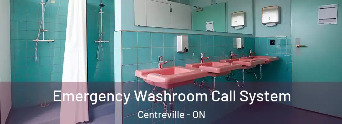  Emergency Washroom Call System Centreville - ON