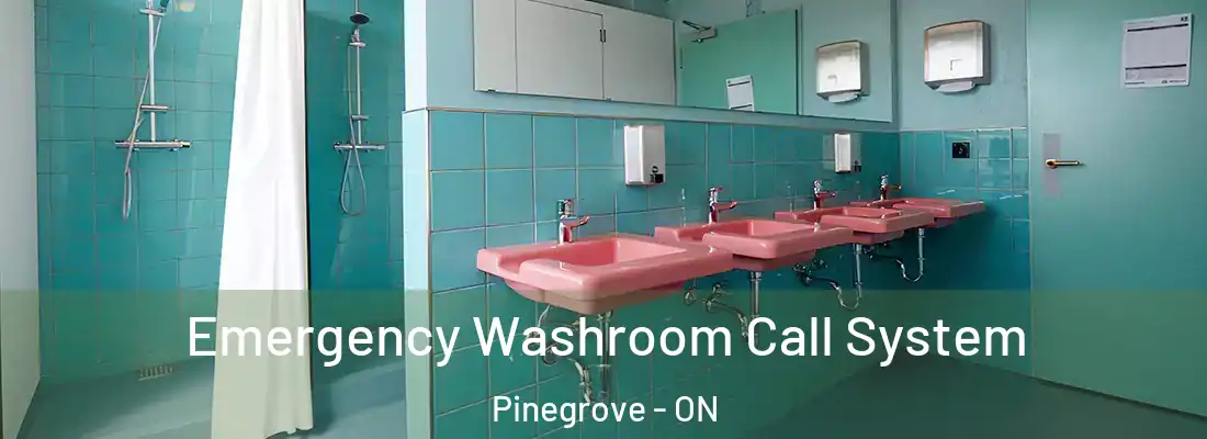  Emergency Washroom Call System Pinegrove - ON