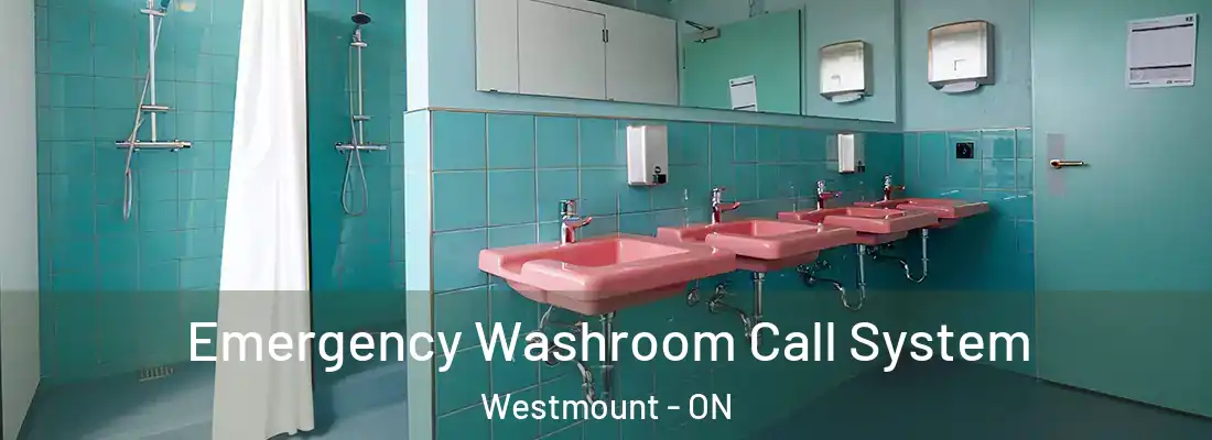  Emergency Washroom Call System Westmount - ON