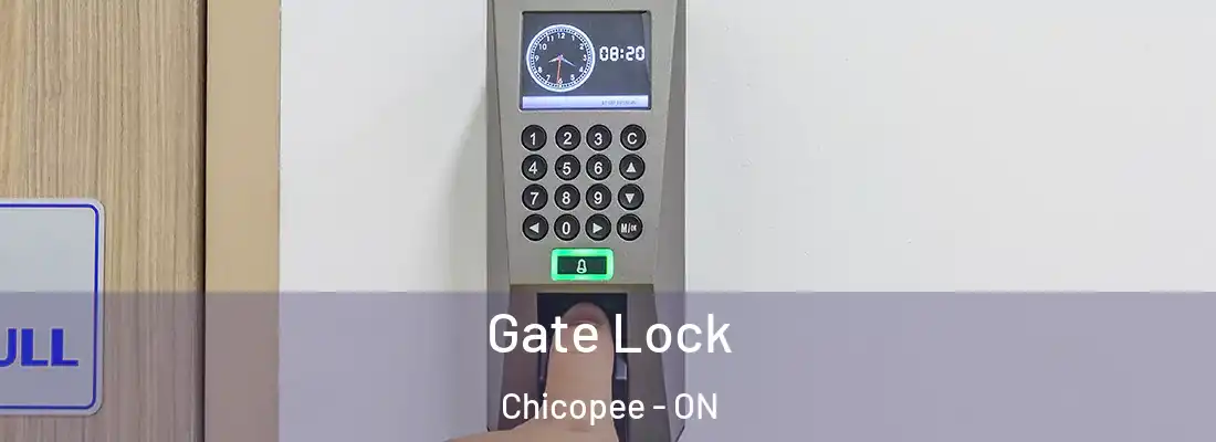  Gate Lock Chicopee - ON
