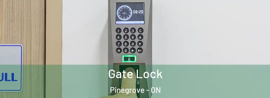  Gate Lock Pinegrove - ON