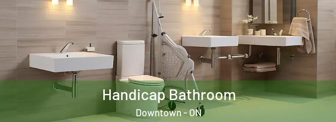  Handicap Bathroom Downtown - ON