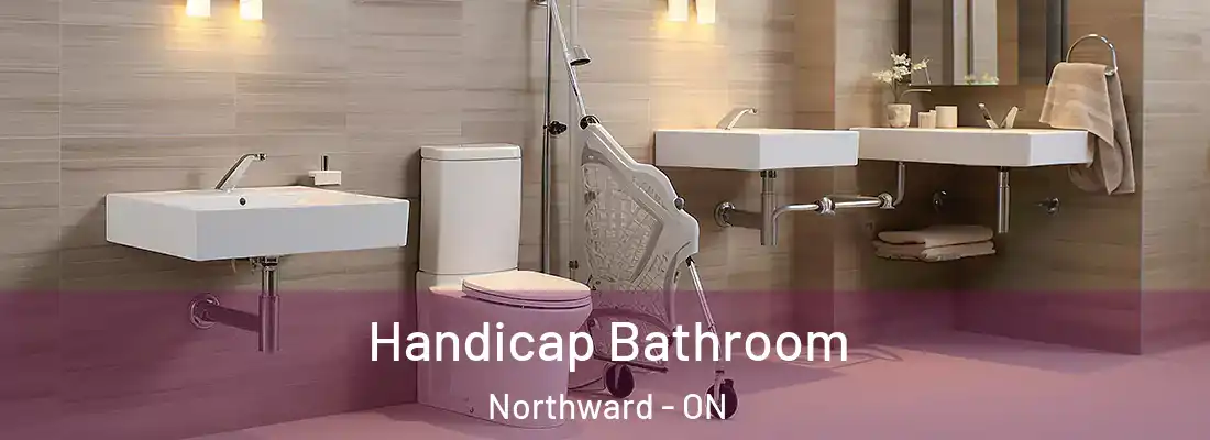 Handicap Bathroom Northward - ON