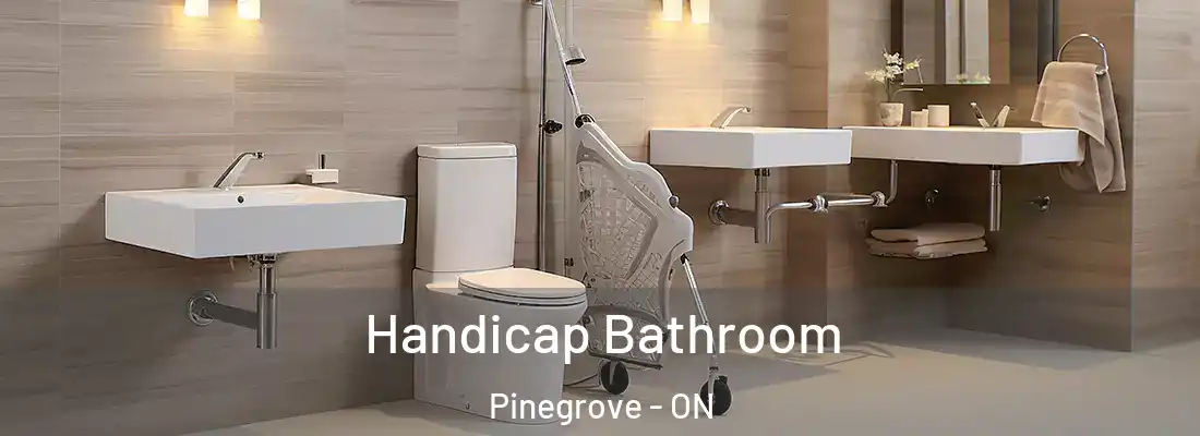  Handicap Bathroom Pinegrove - ON