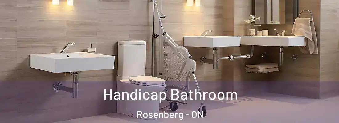  Handicap Bathroom Rosenberg - ON