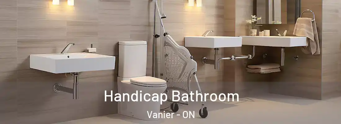  Handicap Bathroom Vanier - ON