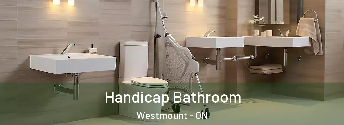  Handicap Bathroom Westmount - ON