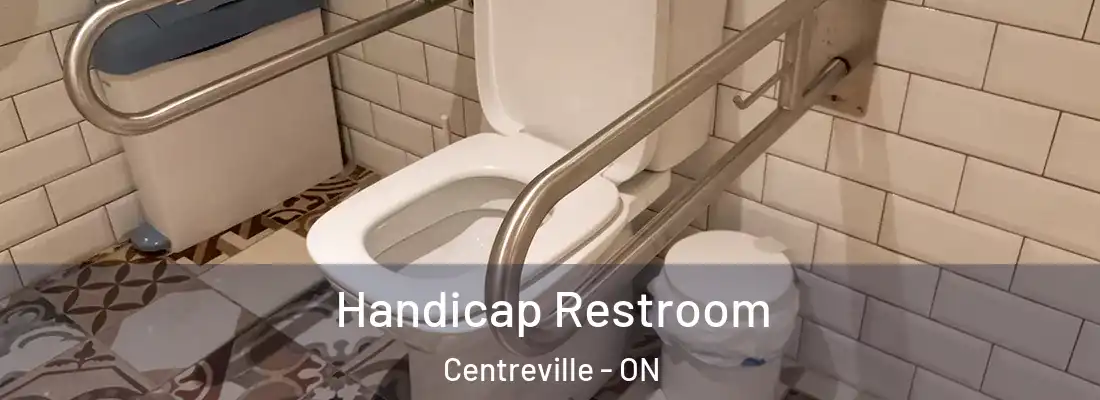  Handicap Restroom Centreville - ON