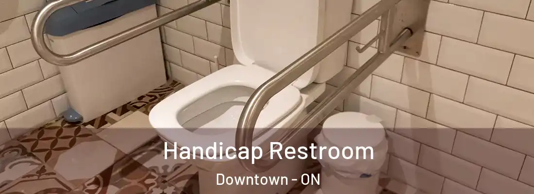  Handicap Restroom Downtown - ON
