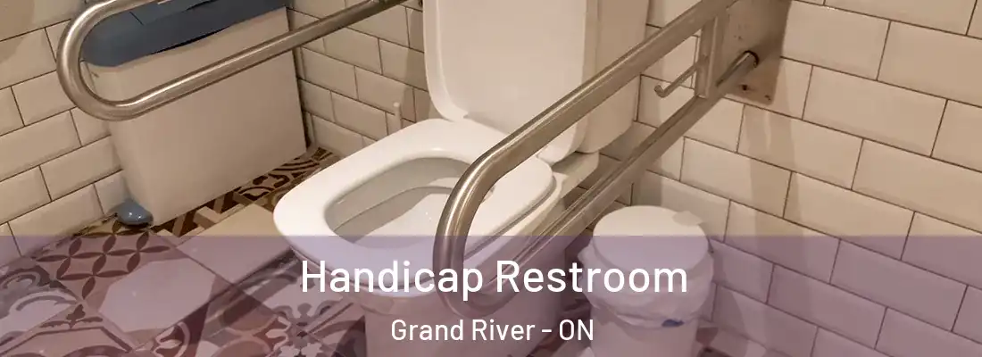  Handicap Restroom Grand River - ON