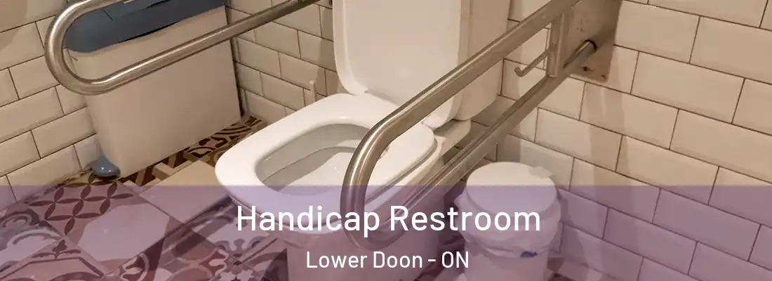  Handicap Restroom Lower Doon - ON