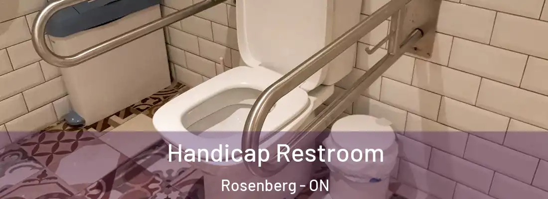  Handicap Restroom Rosenberg - ON
