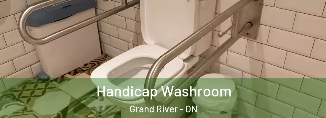  Handicap Washroom Grand River - ON