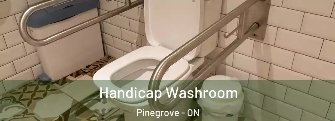 Handicap Washroom Pinegrove - ON