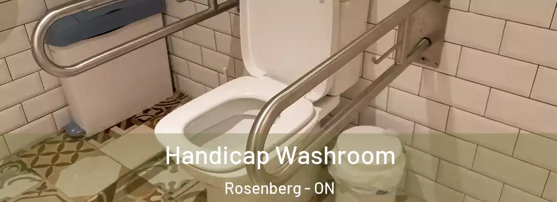  Handicap Washroom Rosenberg - ON
